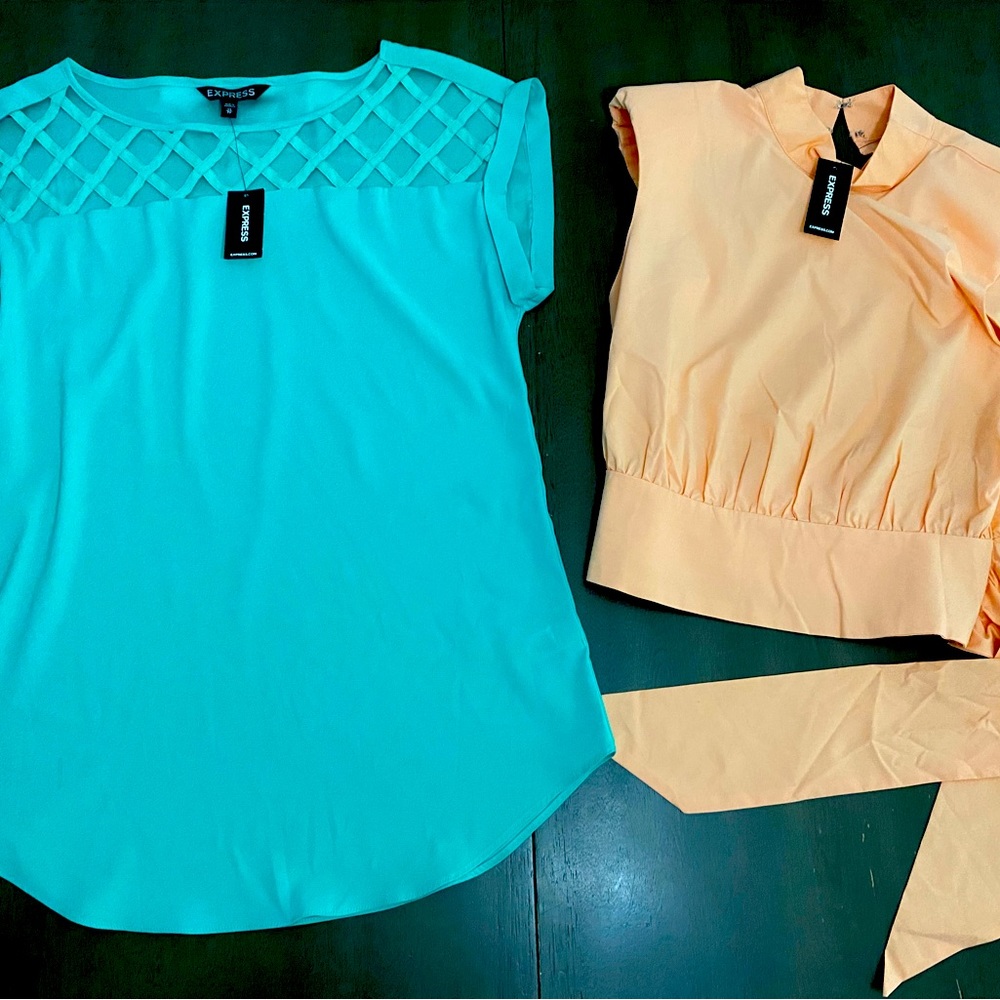 Express blouse bundle